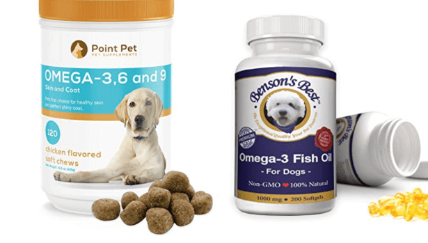 犬にオメガ3脂肪酸 Dha Epa を与えると何がどう変わる 多価不飽和脂肪酸 Pufa を含んだドッグフードやサプリの効果を検証する 子犬のへや