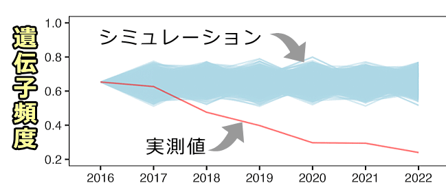 遺伝子頻度のシミュレーション値と実測値の比較図