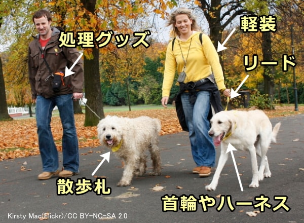 犬の散歩の仕方 完全ガイド 時間帯や場所選びから雨の日の対処法まで 子犬のへや